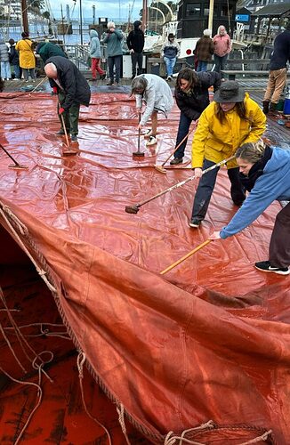 cachou 20240302SimonJourdanIMG_2592-2-669x1024