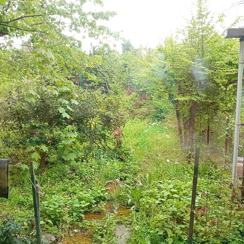 jardin