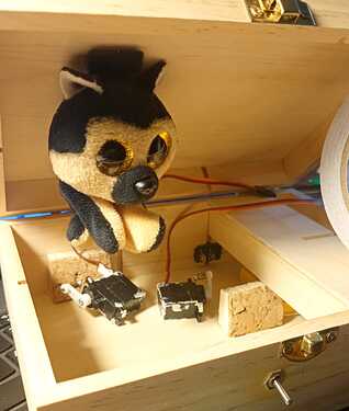 WhatsApp Image 2025-10-10 à 16.14.10_95ec4fa8